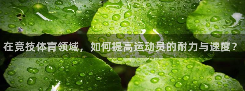 vsport体育官网下载招商电话是多少号码：在竞技体