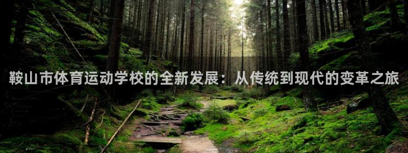 vsport体育官方正版app集团E.ON：鞍山市体