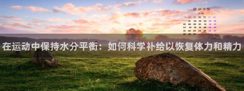 vsport体育官方正版app娱乐首页网站大全：在运