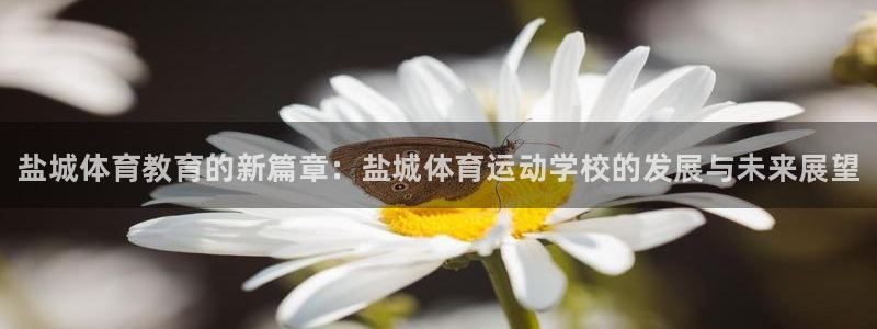 vsport体育官网下载平台注册要钱吗安全吗：盐城体