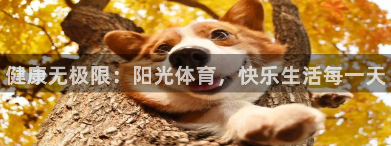 vsport体育官网下载平台注册要钱吗是真的吗：健康