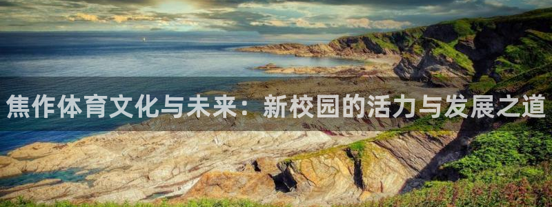 vsport体育官网下载平台注册要钱吗安全吗：焦作体