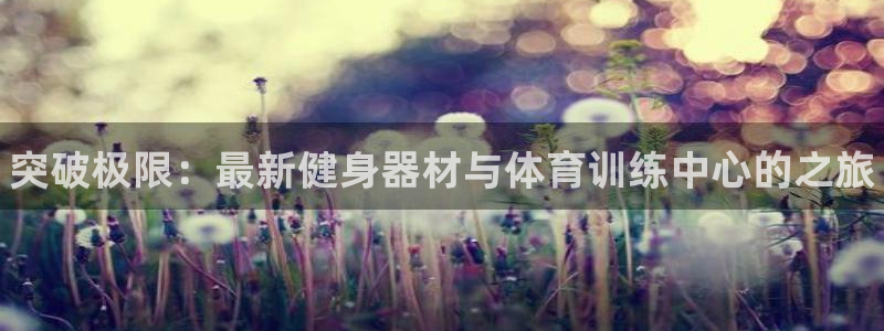 vsport体育官网下载是干嘛的公司：突破极限：最新