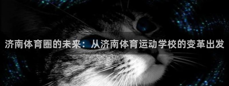 vsport体育官网下载招商电话地址查询：济南体育圈