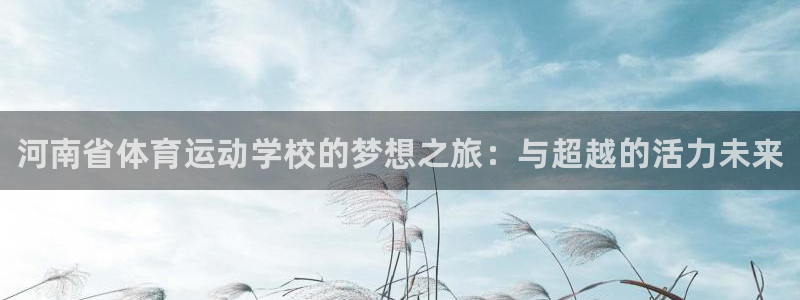 vsport体育官网下载：河南省体育运动学校的梦想之