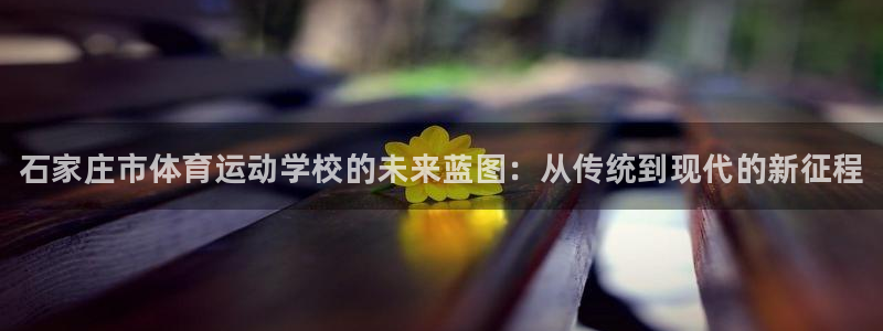 vsport体育官网下载平台注册：石家庄市体育运动学校的未来
