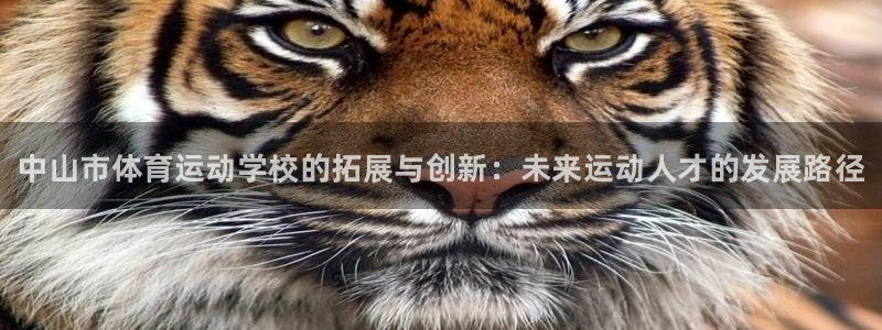 vsport体育官网下载软件：中山市体育运动学校的拓展与创新
