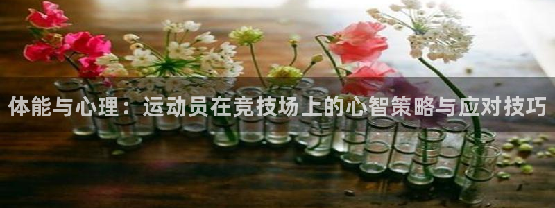 vsport体育官网下载招商电话号码是多少号：体能与