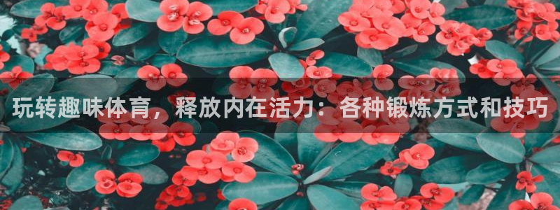 vsport体育官网下载平台注册流程图：玩转趣味体育