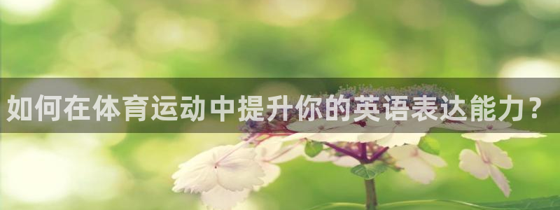 vsport体育官方正版app集团官网首页网址：如何