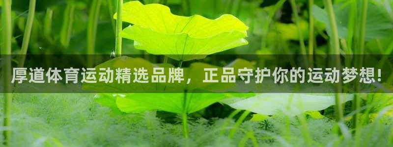 vsport体育官网下载招商电话号码是多少号：厚道体