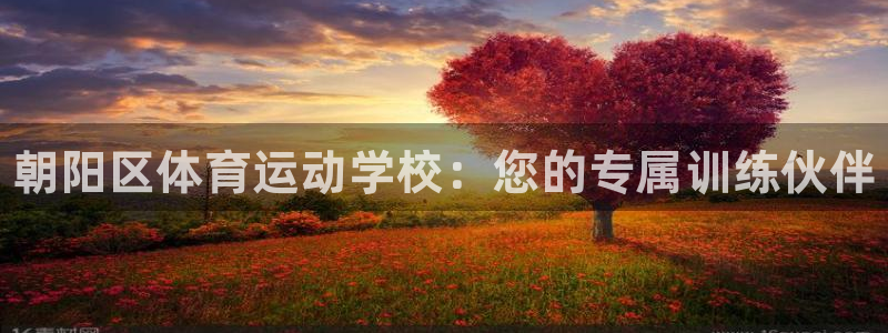 vsport体育官方正版app新能源：朝阳区体育运动