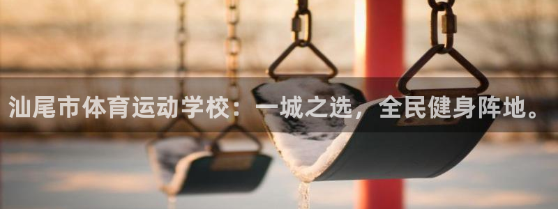 注册vsport体育官方正版app：汕尾市体育运动学校：一城