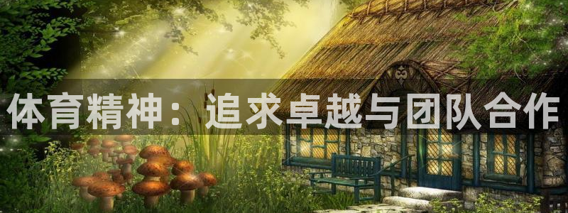 vsport体育官方正版app官网：体育精神：追求卓越与团队