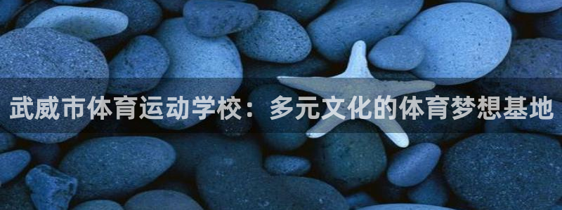vsport体育官方正版app集团官网网址：武威市体