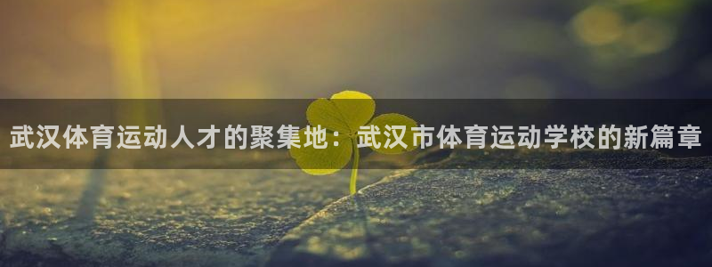 vsport体育官方正版app五金厂：武汉体育运动人才的聚集