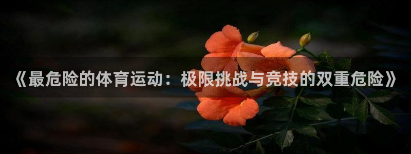 vsport体育官网下载平台假的吗是真的吗吗：《最危险的体育