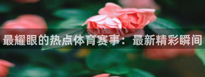 vsport体育官方正版app集团logo：最耀眼的热点体育