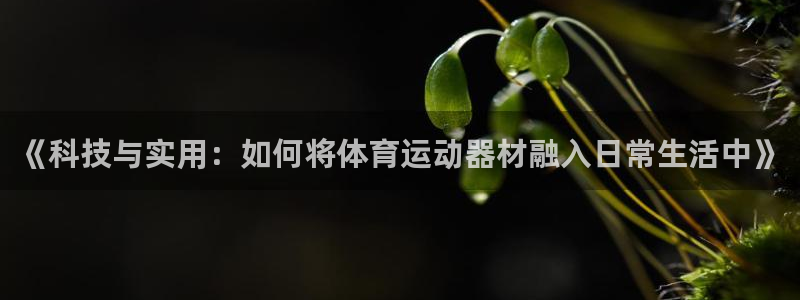 vsport体育官网下载官方客服电话：《科技与实用：