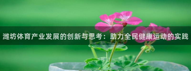 vsport体育官方正版app集团官网首页网址：潍坊体育产业