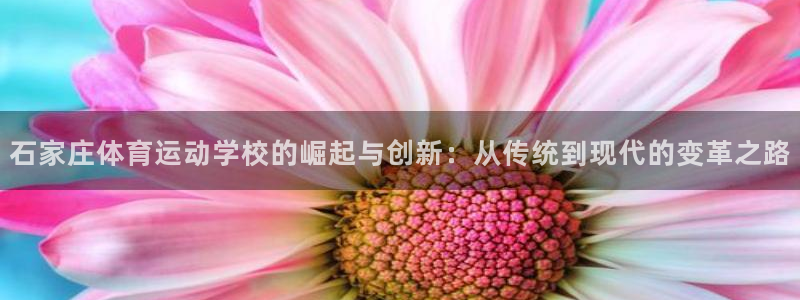 vsport体育官方正版app开户：石家庄体育运动学校的崛起