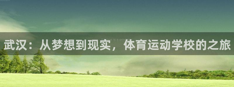 vsport体育官网下载招商电话：武汉：从梦想到现实，体育运