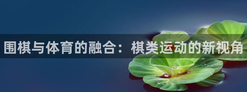 vsport体育官网下载平台注册流程图：围棋与体育的