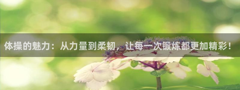 vsport体育官网下载招商电话号码是多少：体操的魅力：从力