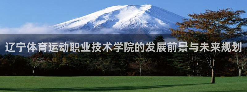 vsport体育官网下载招商电话地址查询：辽宁体育运动职业技