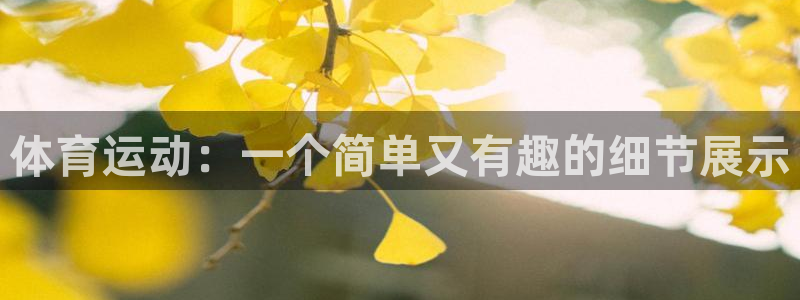 vsport体育官方正版app集团logo：体育运动：一个简