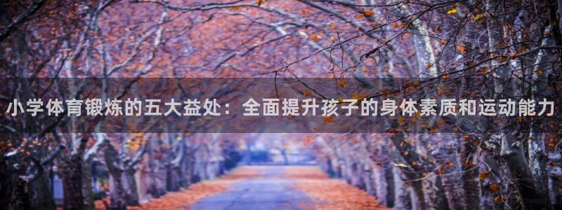 vsport体育官方正版app官网：小学体育锻炼的五大益处：