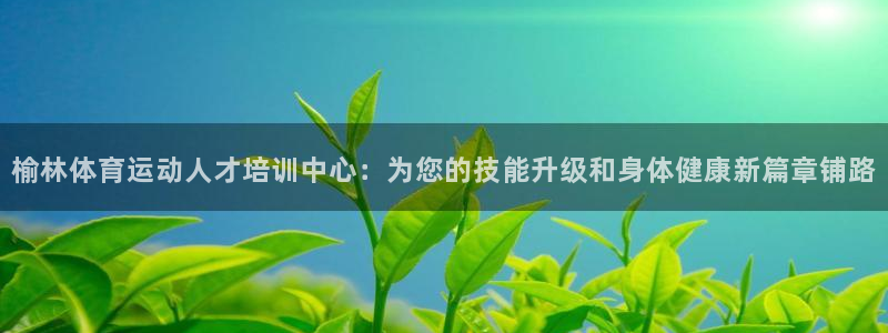 vsport体育官方正版app官方：榆林体育运动人才培训中心