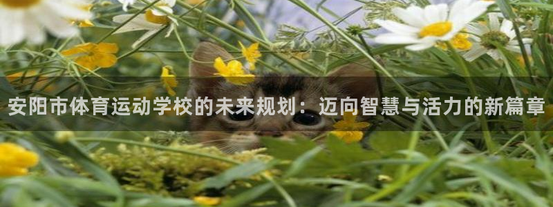 vsport体育官方正版app娱乐平台：安阳市体育运动学校的