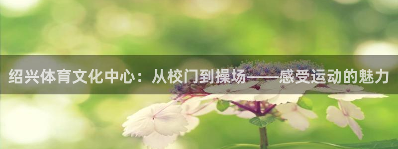 vsport体育官方正版app娱乐首页官网下载：绍兴体育文化