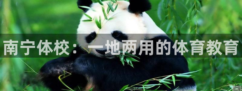 vsport体育官网下载平台注册要钱吗安全吗