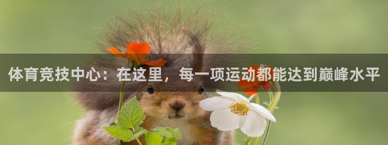 vsport体育官网下载平台注册要钱吗是真的吗：体育竞技中心